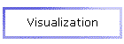 Visualization